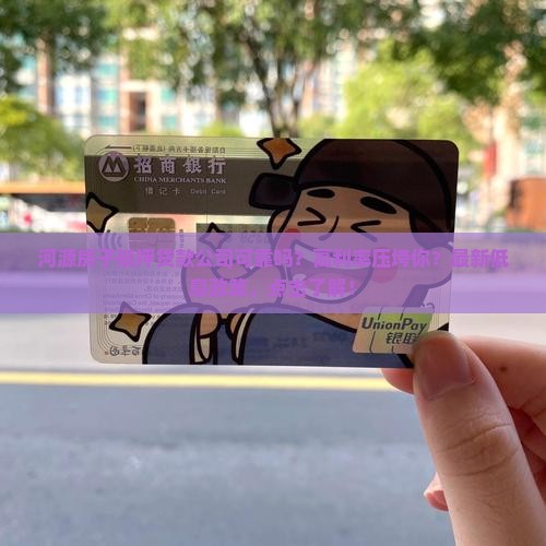河源房子抵押贷款公司
