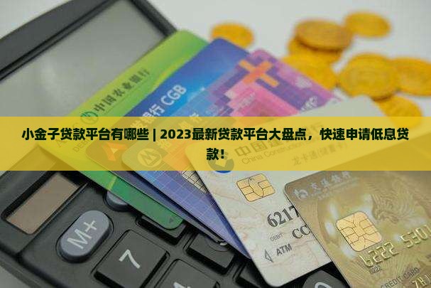 小金子贷款平台有哪些