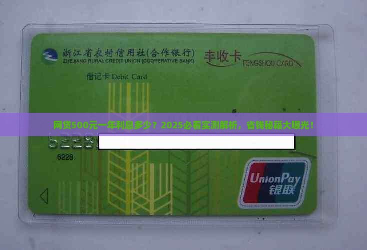 网贷贷款500元一年多少利息