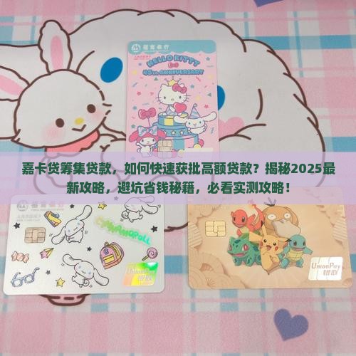 嘉卡贷筹集贷款