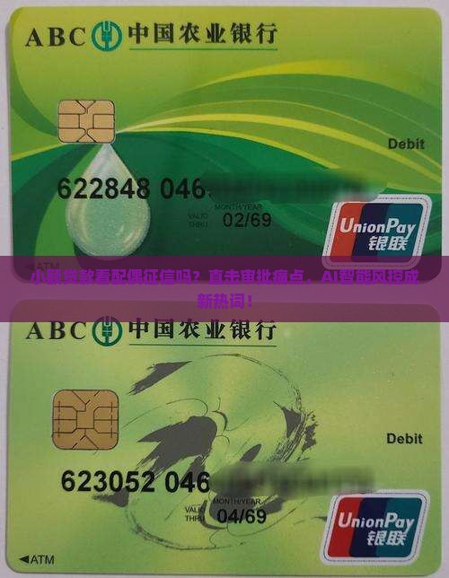 小额贷款看配偶征信吗