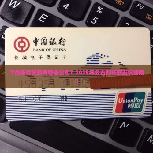 平台非标贷款有哪些公司