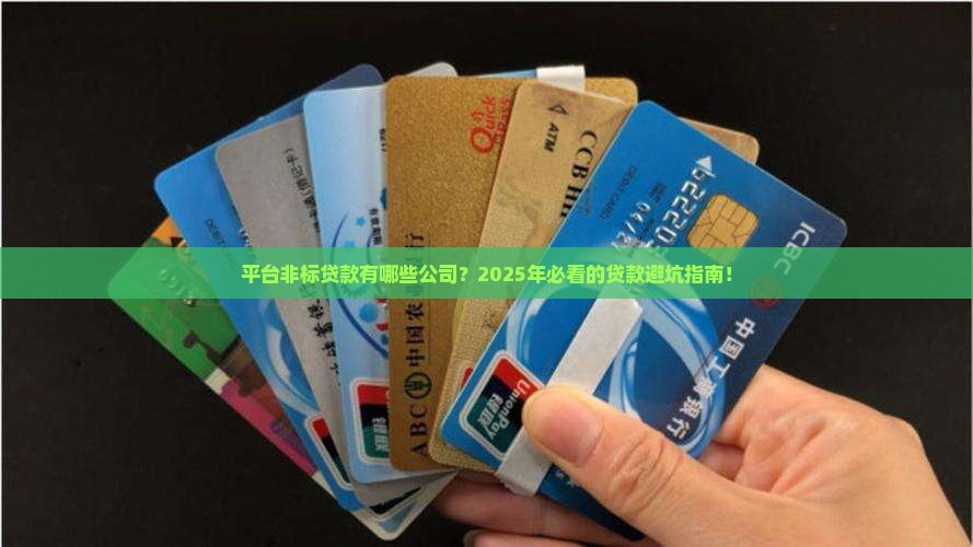 平台非标贷款有哪些公司