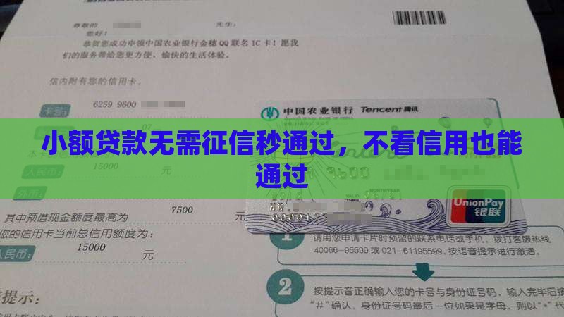 小额800贷款无征信秒通过