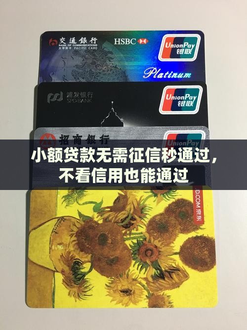 小额800贷款无征信秒通过