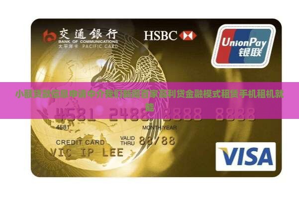 小额贷款租机