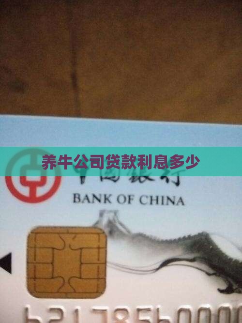 养牛公司贷款利息多少