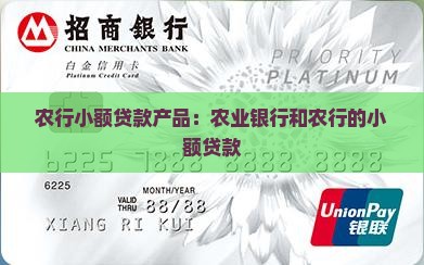 农行小额贷款都用什么