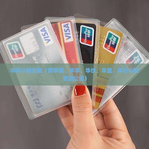 华羽小额贷款