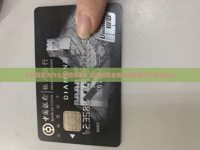 小额贷款为什么是担保费