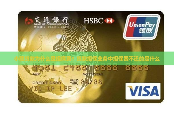 小额贷款为什么是担保费