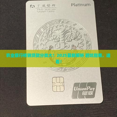 农业银行核销贷款分类