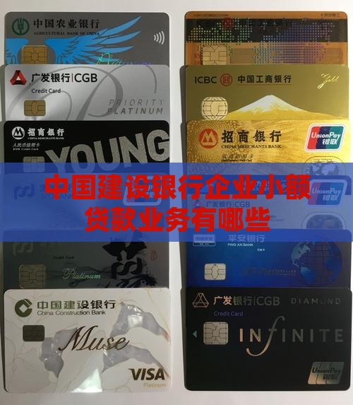 建行有啥小额贷款业务