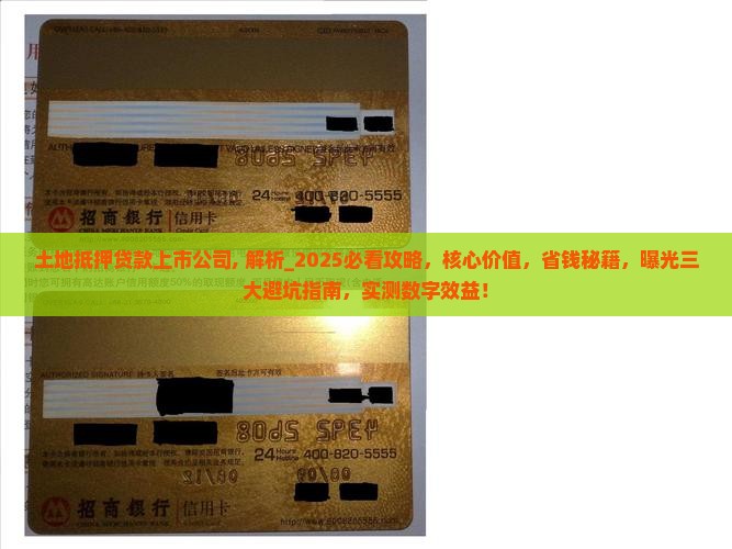 土地抵押贷款上市公司