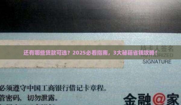 小赢卡贷还有其它贷款么