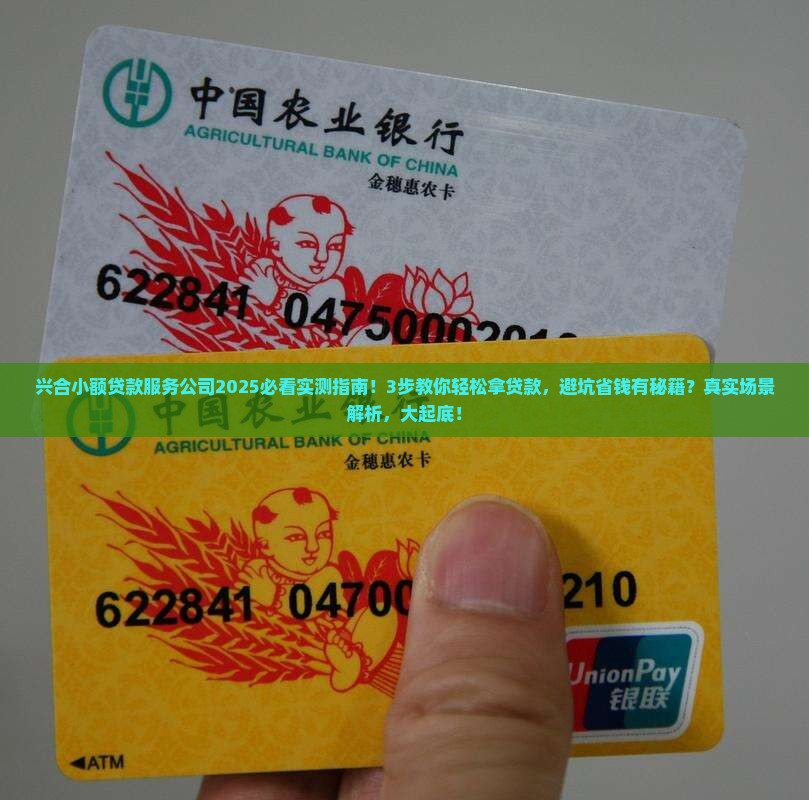 兴合小额贷款服务公司