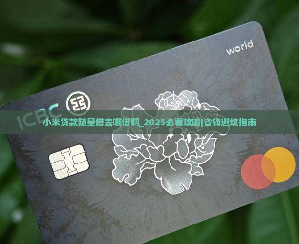 小米贷款随星借去哪借啊