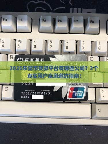 东营市贷款平台有哪些公司