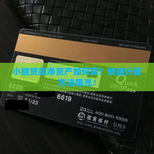 小额贷款净资产如何算