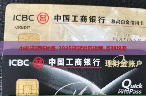 小额贷款贴标签