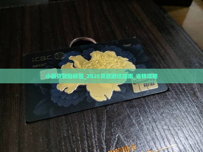 小额贷款贴标签