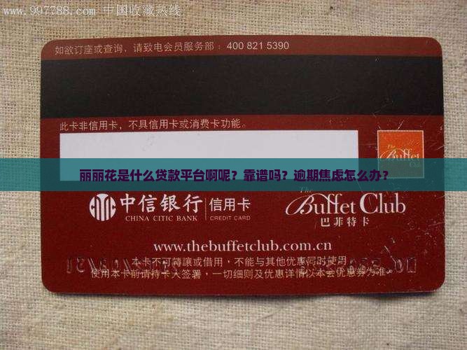 丽丽花是什么贷款平台啊呢