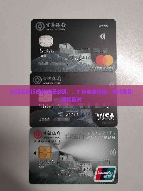 公司无银行贷款情况说明