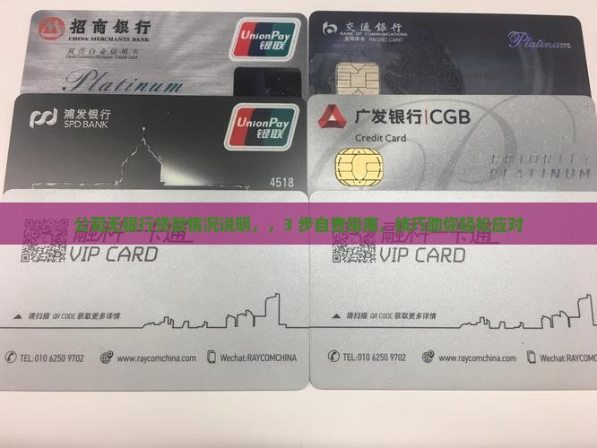 公司无银行贷款情况说明