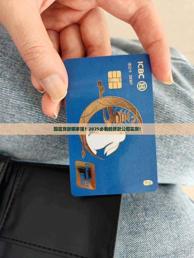 园区做贷款的公司