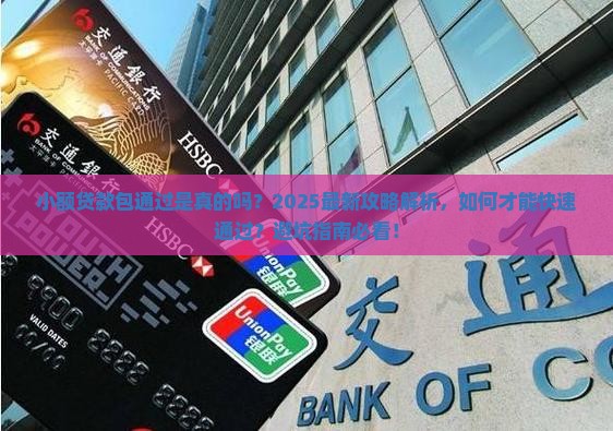 小额贷款包通过