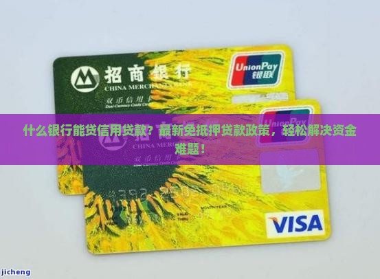 什么银行能贷信用贷款的