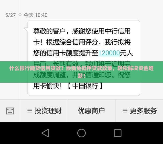 什么银行能贷信用贷款的