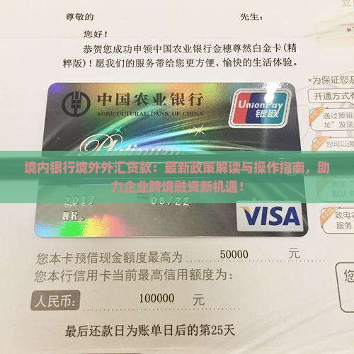境内银行境外外汇贷款