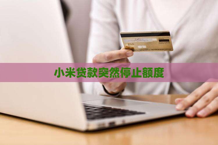 小米贷款停止了额度