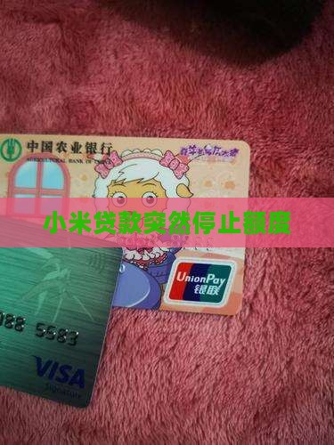 小米贷款停止了额度