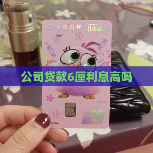 公司贷款6厘利息高吗