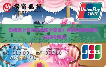 亳州网上贷款平台