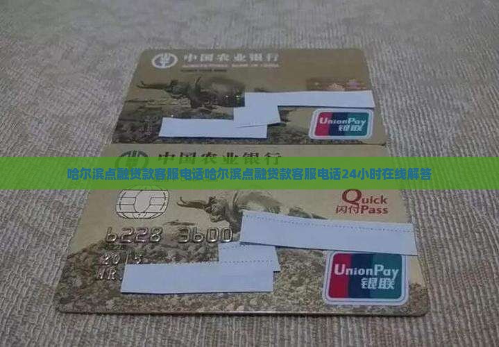 哈尔滨点融贷款客服电话