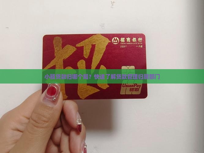 小额贷款归哪个局