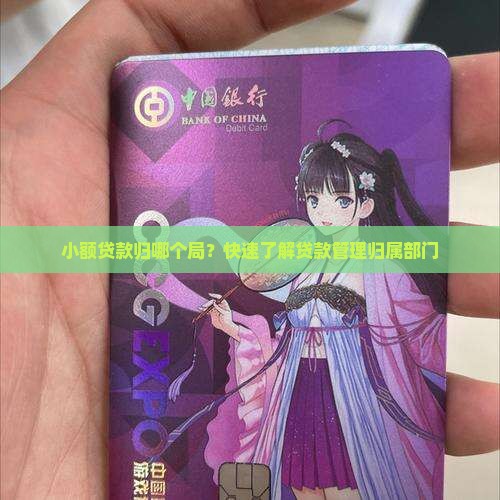 小额贷款归哪个局