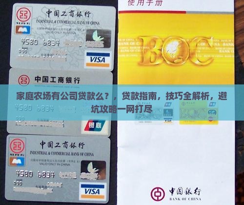 家庭农场有公司贷款么
