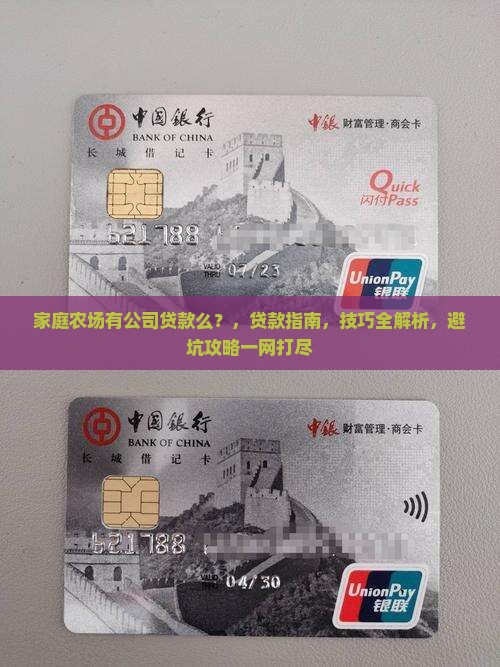 家庭农场有公司贷款么