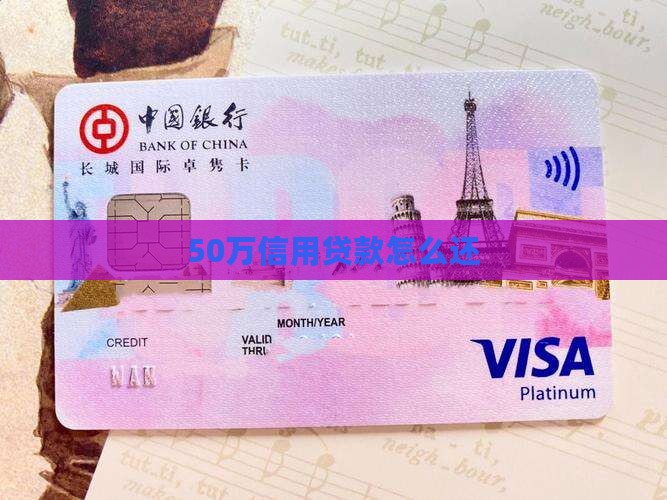 50万信用贷款怎么还