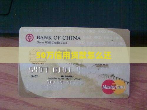 50万信用贷款怎么还