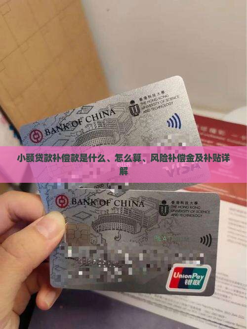 小额贷款补偿款