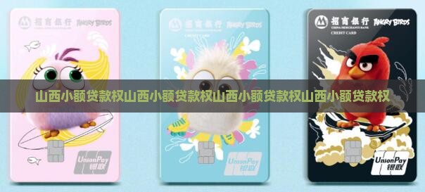 山西小额贷款权