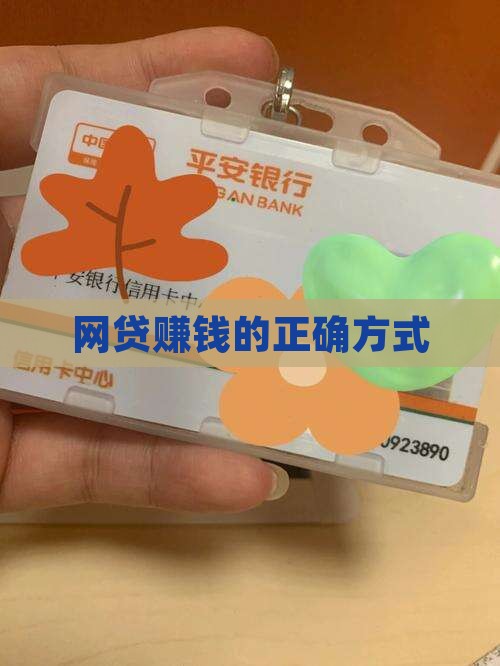 做网络贷款挣钱