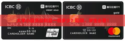 大学小额贷款利息一般多少