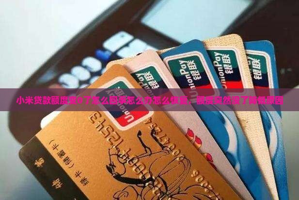 小米贷款额度变0了