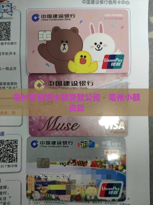 亳州市诚润小额贷款